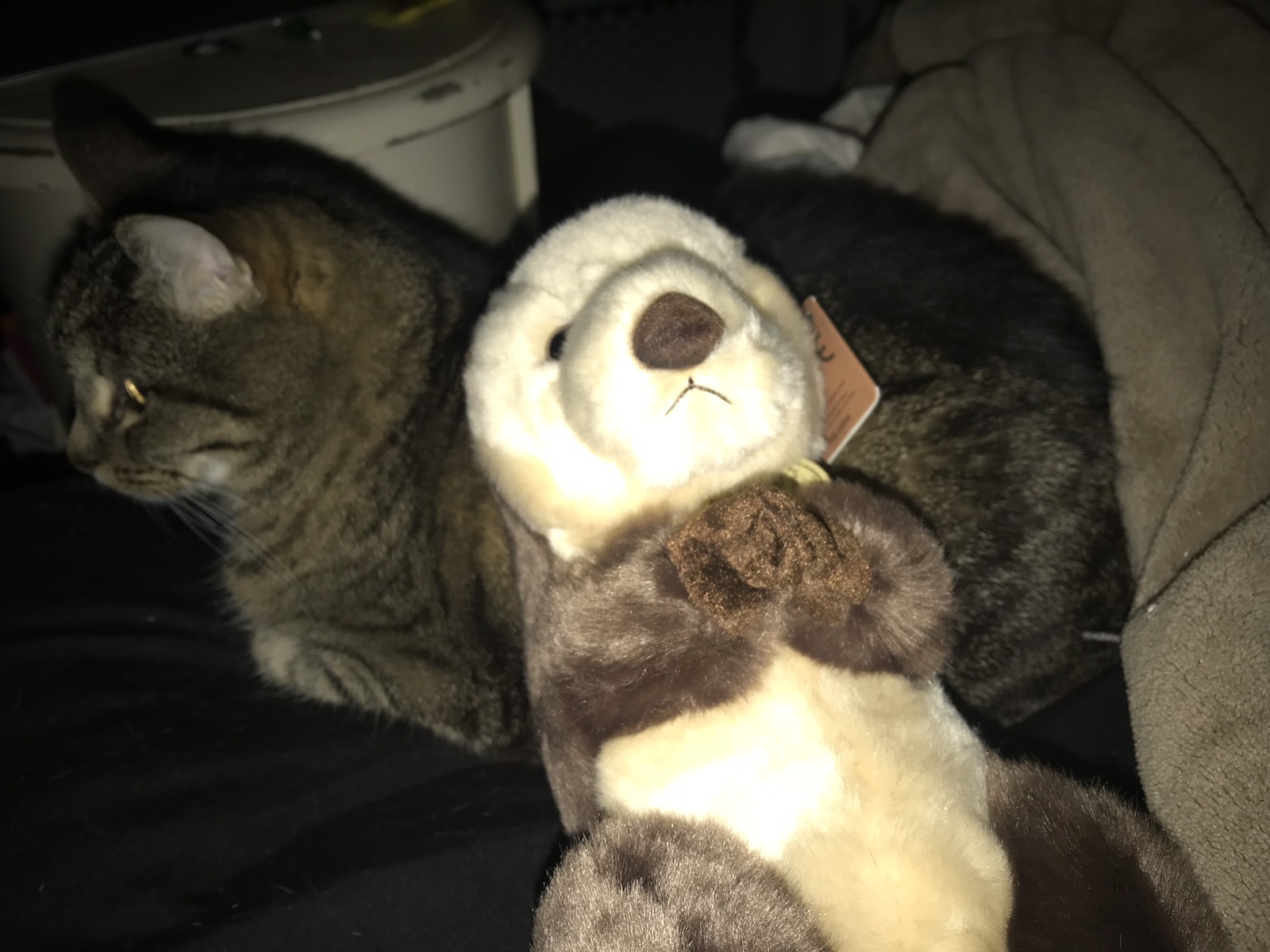 otter
